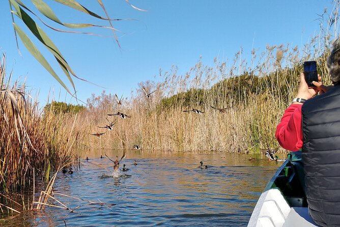 Cycle Albufera Lake, Rice Fields Paella and Boat Ride With Beach - Exploring the Albufera Wetlands