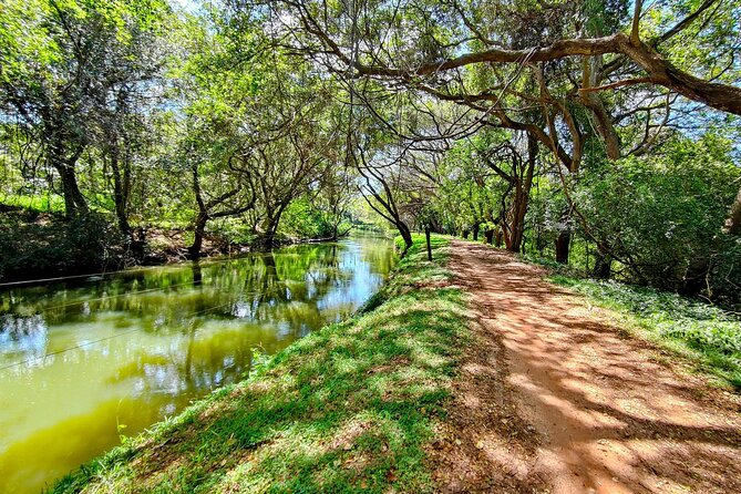 Cycle Through 2000 Years of Sacred History and Culture – Anuradhapura - Experiencing Anuradhapuras Timeless Traditions