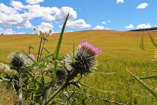 Cycle To Loch Ness - Self Guided - Tour Schedule
