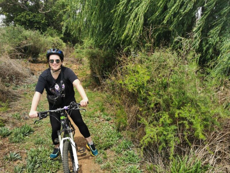 Cycle With Wild Animals (No Predators, Quality Cycles) - Key Points