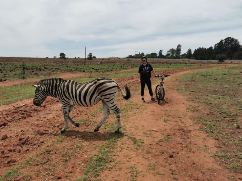 Cycle With Wild Animals (No Predators, Quality Cycles) - Cycling With Wildlife