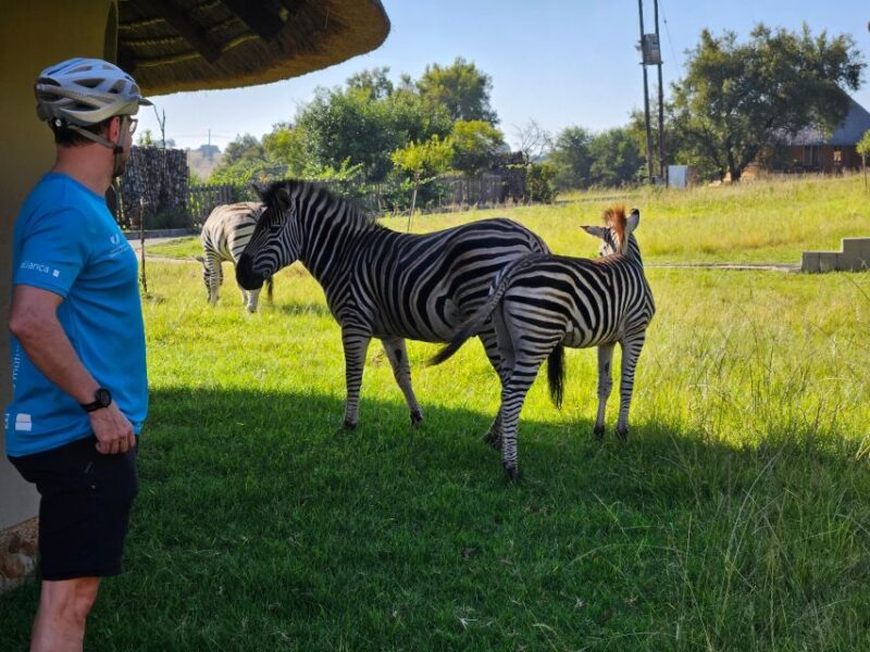 Cycle With Wild Animals (No Predators, Quality Cycles) - Diverse Animal Sightings
