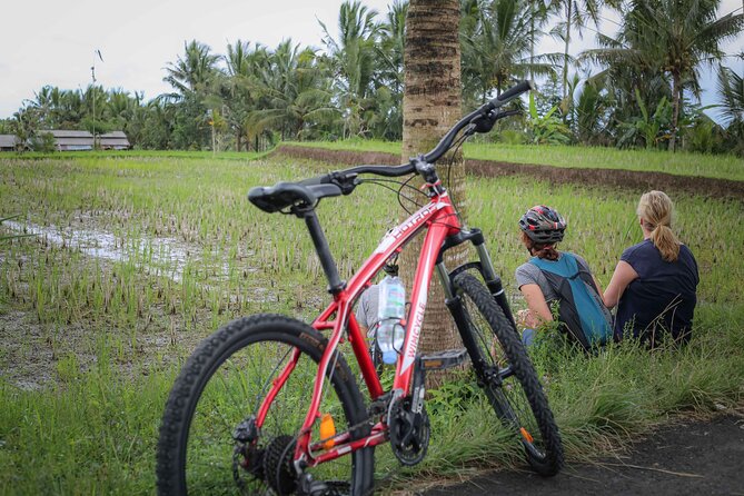 Cycling Adventure In Bali - Key Points