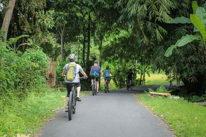 Cycling Adventure In Bali - Inclusions