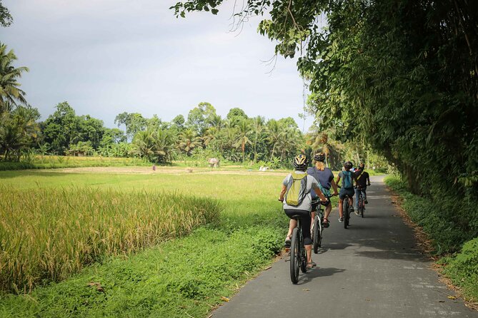 Cycling Adventure In Bali - Health and Accessibility