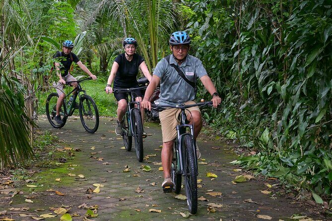Cycling and Cooking Class in Ubud - An In-Depth Look at the Tour