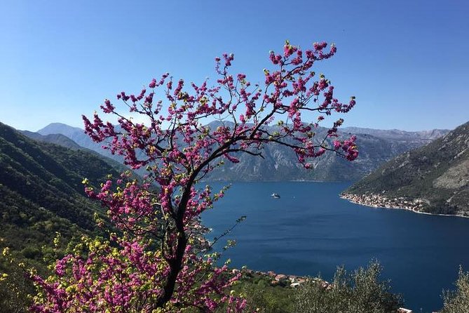 Cycling and Hiking Short Tour Through the Bay of Kotor - Scenic Vistas and Views