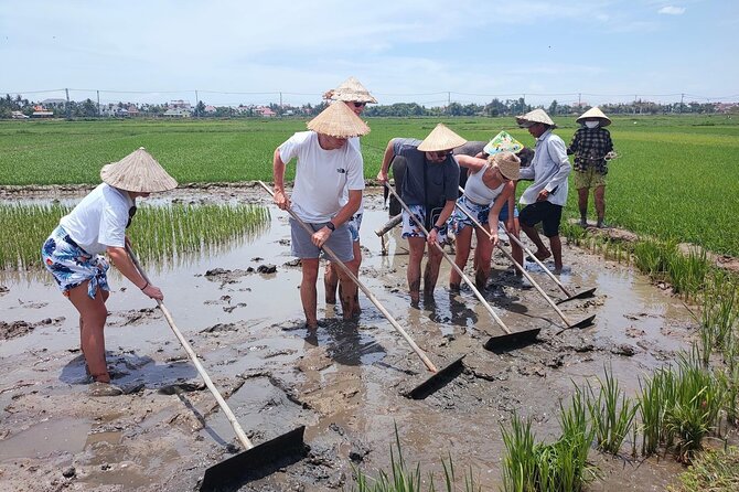Cycling, Buffalo Ride and Basket Boat Tour in Hoi An - Meeting and Pickup