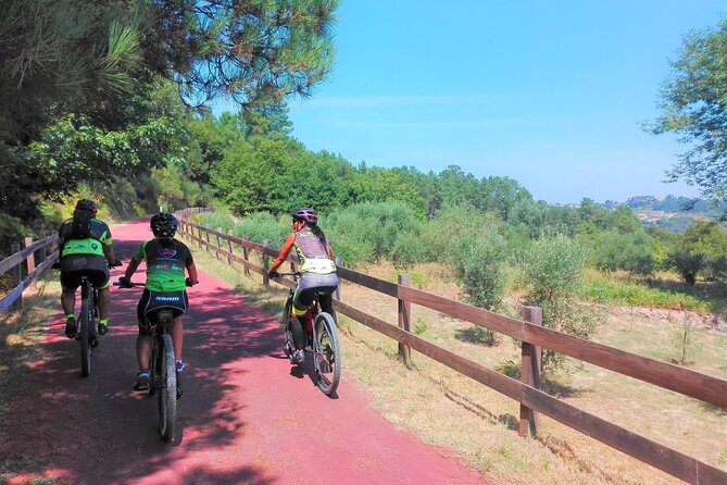 Cycling Ecopista Do Dão One Way, Full-Day From Coimbra - Inclusions and Amenities