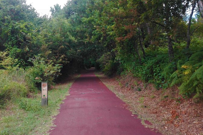 Cycling Ecopista Do Dão One Way, Full-Day From Coimbra - Participant Reviews