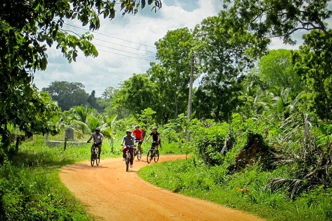 Cycling Expedition in Yala From Hambantota Harbor - Customer Feedback and Improvements