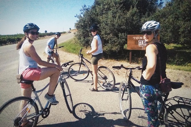 Cycling for Vino Bike Ride From Sitges, Barcelona With Hotel Pick Up. - Visit Caves Romagosa Torne
