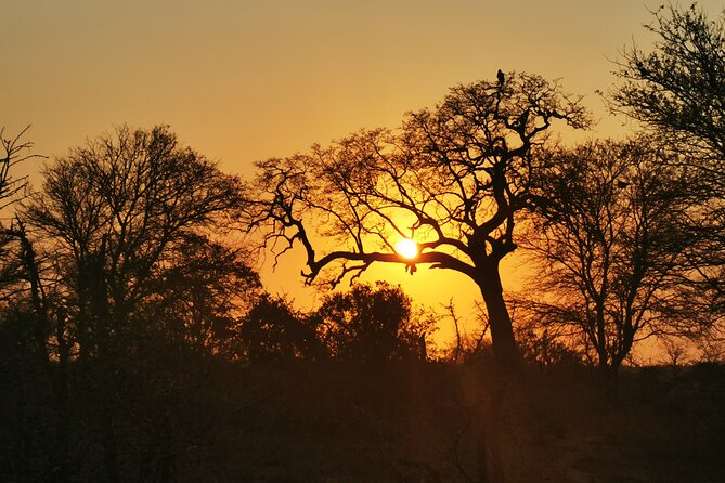 Cycling in a Forest Close to Johannesburg and Pretoria - Reviews From Previous Cyclists