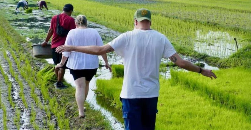 Cycling in Countryside of Yogjakarta - Key Points