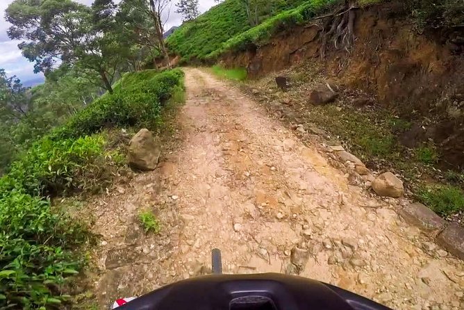 Cycling in Devils Staircase - Gratuities and Inclusions