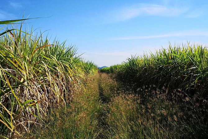 Cycling in Rural Kanchanaburi Area - Booking and Cancellation Policy