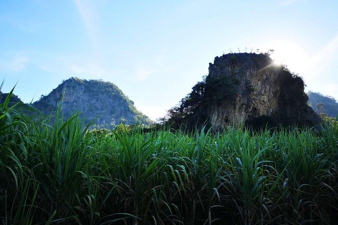 Cycling in Rural Kanchanaburi Area - Tour Ratings and Reviews