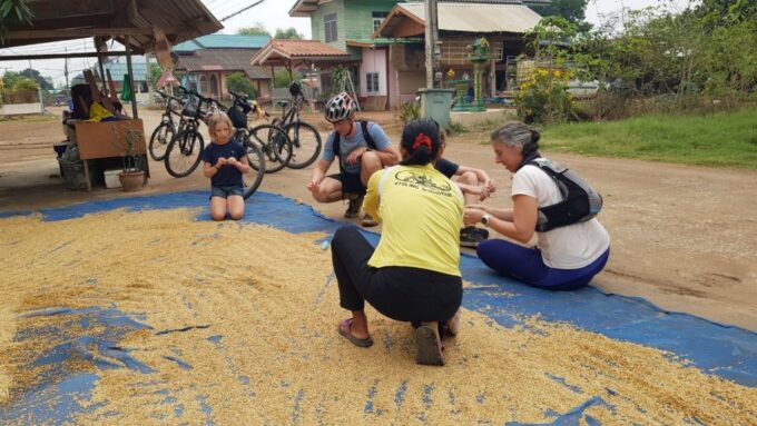 Cycling Sukhothai Full Day Countryside Tour - Frequently Asked Questions
