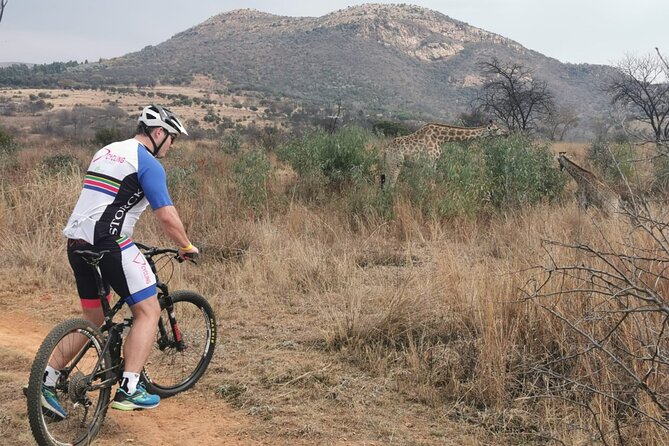 Cycling The Cradle of Humankind in Game Reserve - Bike Trek Through Game Reserve