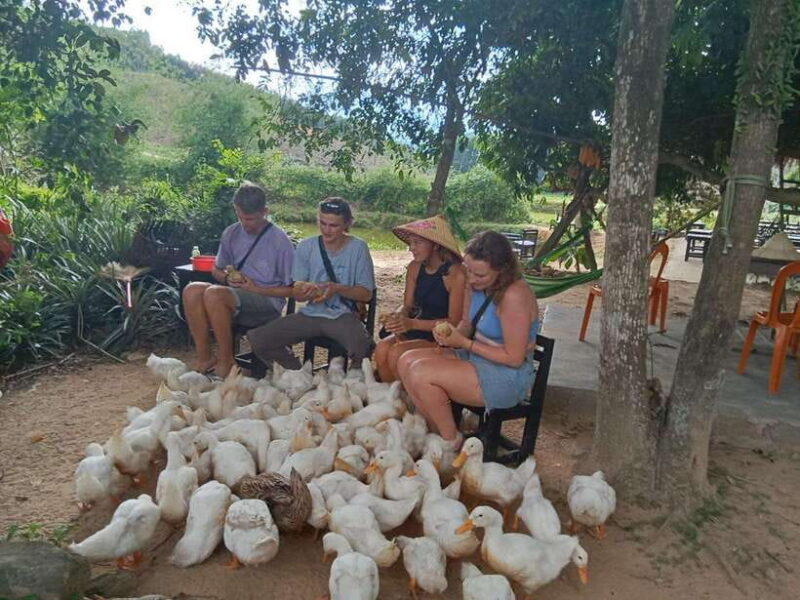 Cycling Through Countryside and Cooking Class in Duck Stop - Itinerary Highlights