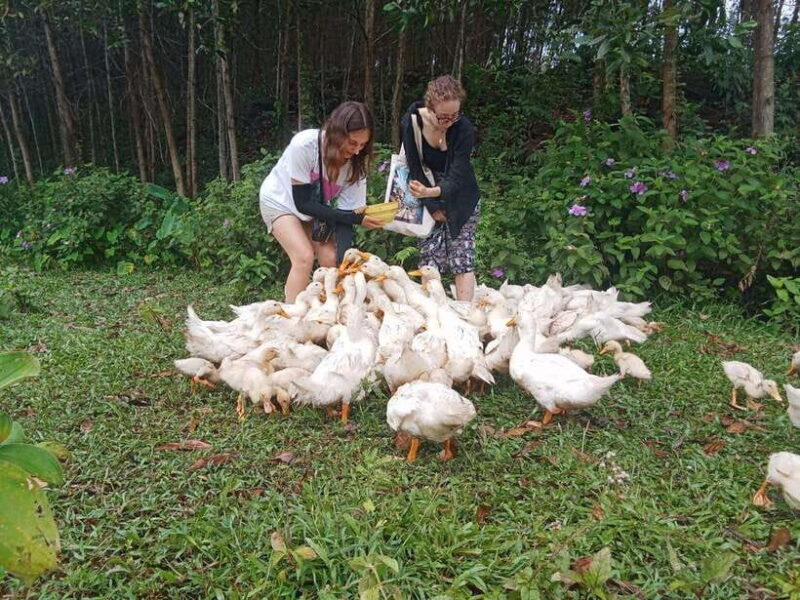 Cycling Through Countryside and Cooking Class in Duck Stop - Participant Guidelines