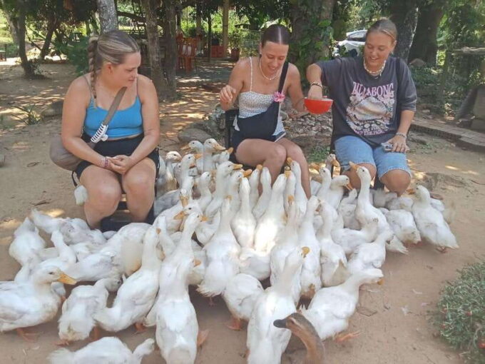 Cycling Through Countryside and Cooking Class in Duck Stop - Cooking Class at The Tangs Duck Stop