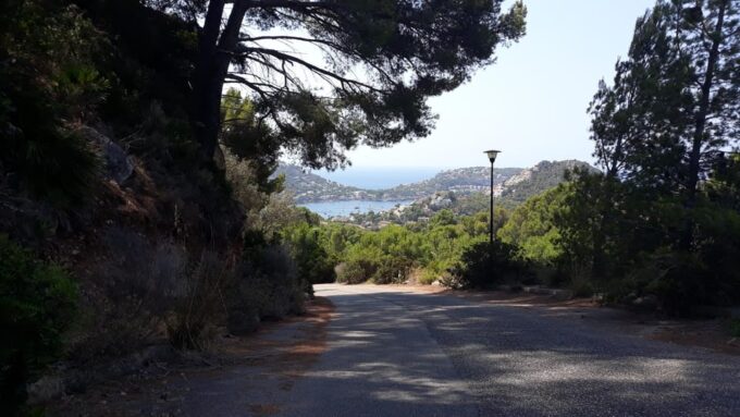 Cycling Tour From Coast to Coast - Café Visit