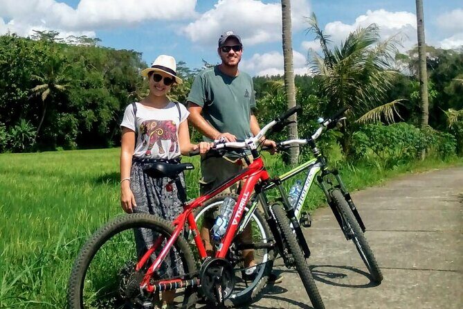 Cycling Tour in Yogyakarta with Lunch 3-Hour - Why This Tour Offers Real Value