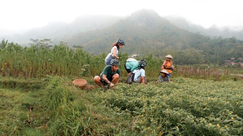 Cycling Tour: Silent Story Borobudur - Key Points