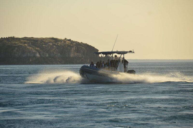 Cygnet Bay Island Explorer Scenic Cruise Experience - Discover Unique Reefs and Tides