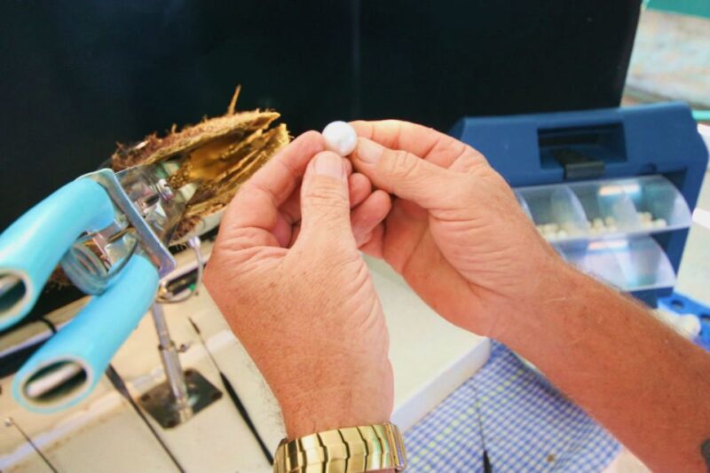 Cygnet Bay Pearl Farm Behind-the-Scenes Tour & Live Harvest - Tour Overview
