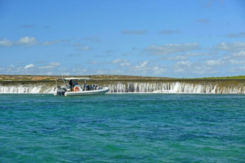 Cygnet Bay Unique Tidal Waterfall Reefs Scenic Cruise - Exploring Waterfall Reefs