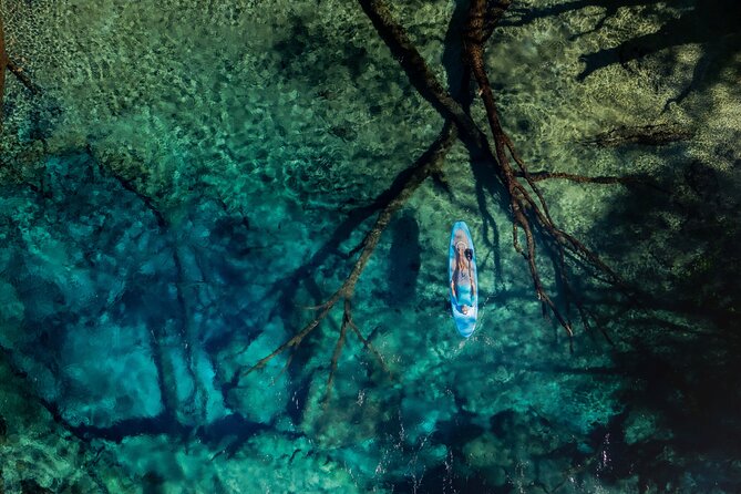 Cypress Springs Eco Adventure - Key Points