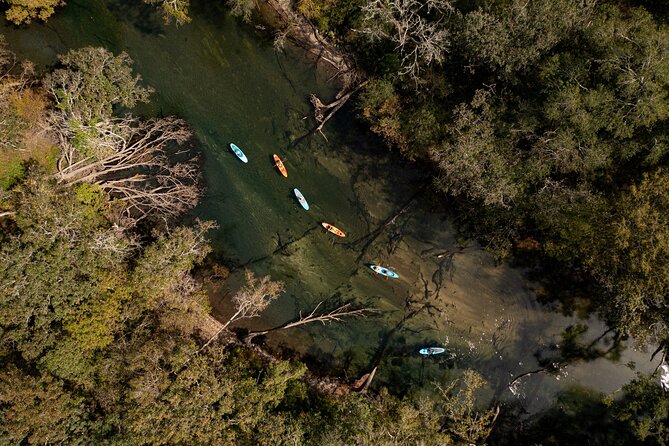 Cypress Springs Eco Adventure - Participant Requirements
