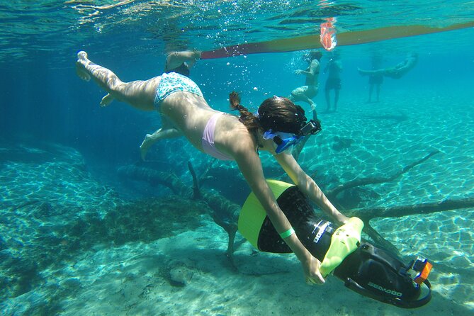 Cypress Springs Eco Adventure - Guest Experiences and Feedback