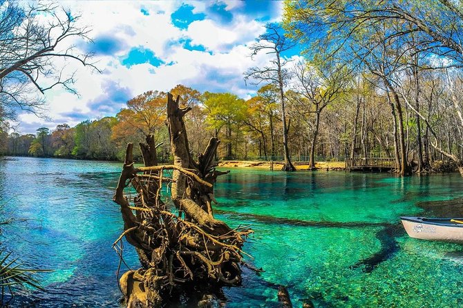 Cypress Springs Eco Adventure - Activity Options