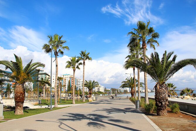 Cyprus'S History and Charm Full-Day Private Tour From Paphos - Transport and Guidance