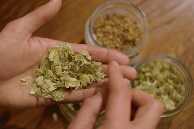 Czech Beer Tasting Experience - Inclusions in the Tour