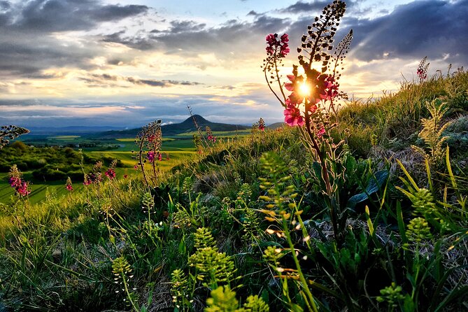 Czech Countryside Villages Tour From Prague With Animal Farm - Age Restrictions