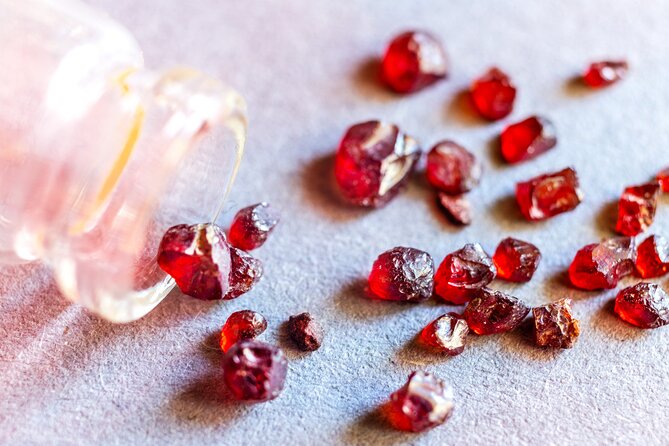 Czech Garnet Panning With Animal Farm, Lunch 4WD Trip From Prague - Seasonal Weather Details