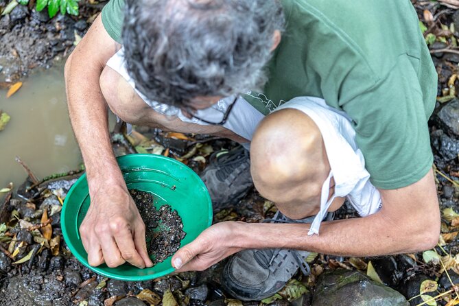 Czech Garnet Panning With Animal Farm, Lunch 4WD Trip From Prague - Group Size and Accessibility