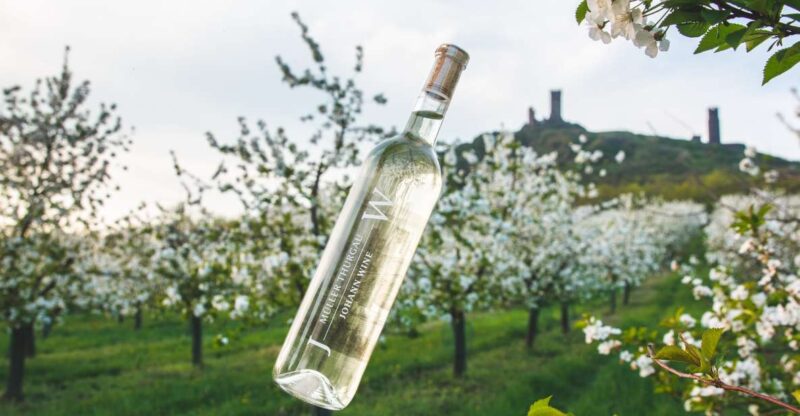 Czech Vineyards and Wine Tasting 4WD Tour With Lunch - Key Points
