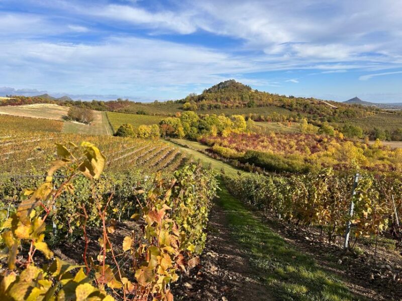 Czech Vineyards and Wine Tasting 4WD Tour With Lunch - Scenic and Cultural Exploration