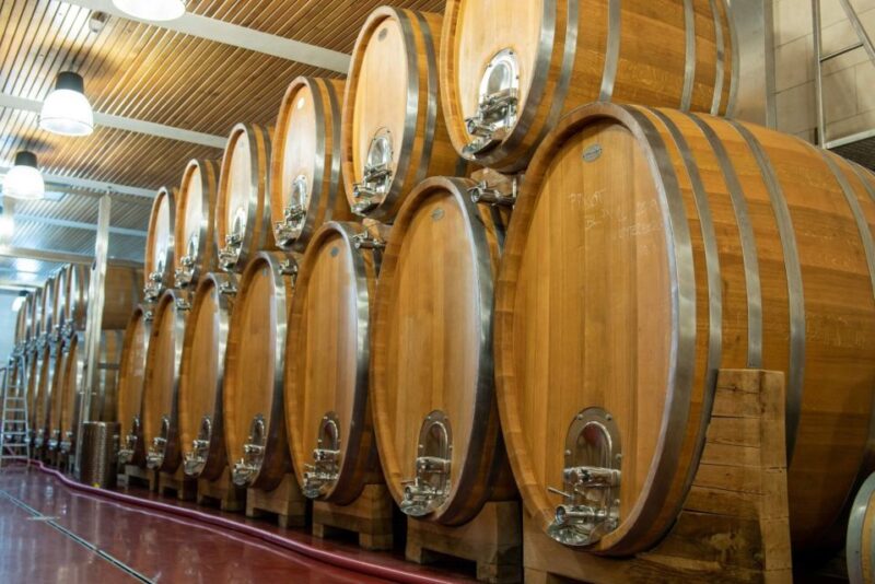 Czech Vineyards and Wine Tasting 4WD Tour With Lunch - Tour Experience and Reviews