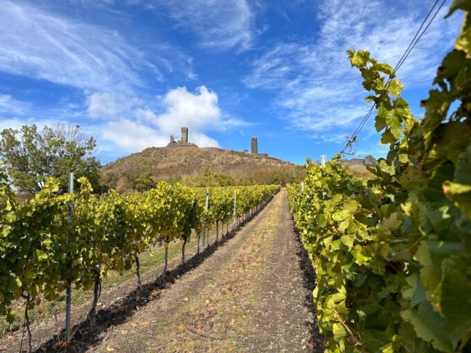Czech Vineyards and Wine Tasting 4WD Tour With Lunch - Frequently Asked Questions