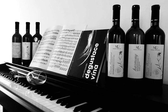 Czech Wine Tasting - Participation Requirements