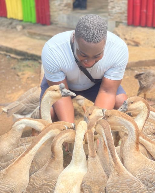 D Boss Farm, Bamboo Rafting and Limestone Foot Massage Tour - Key Points