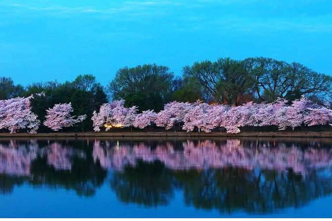 D.C. Cherry Blossoms: Escorted Bus Tour From Toronto - Included Amenities