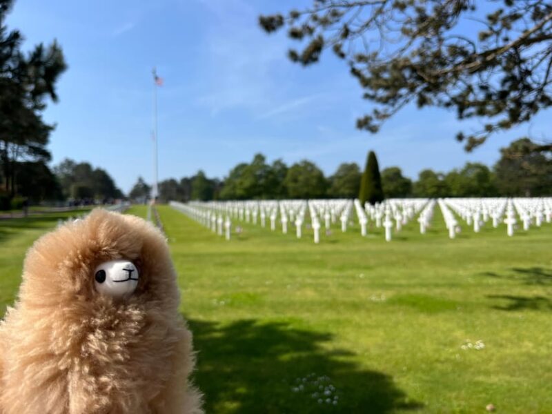 D-Day American Beaches: Omaha & Utah by Comfort Car - Historical Significance