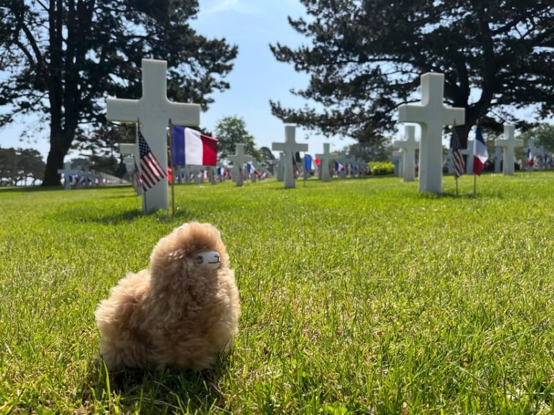 D-Day American Beaches: Omaha & Utah by Comfort Car - Tour Highlights